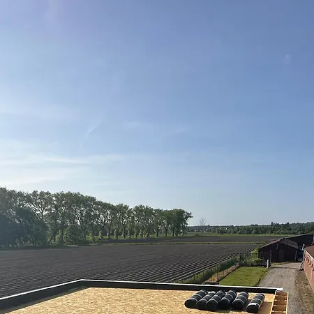 בית נופש De Viervoeters Hoeve
